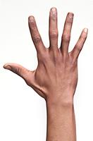 Rahil Waters Retopo Hand Scan